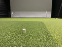 Big Moss Commander Single Level Putting Studio for Elite Sim Golf Albatross 13 Enclosure - Elite Sim Golf