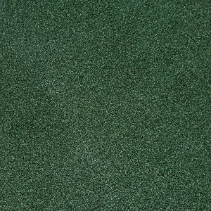 TIGS Money Putt Golf Turf